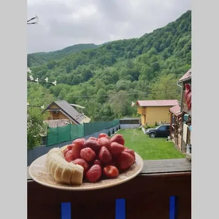 Lodge Cabana Cu Sauna Si Ciubar Lungesti