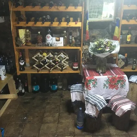 Cabana Cu Sauna Si Ciubar Lungesti Lodge *